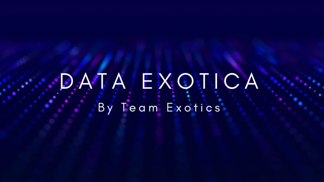 снимка 4 от проект Data Exotica