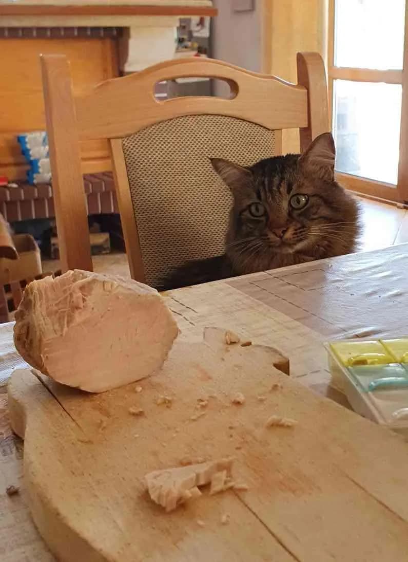 снимка 4 от проект Fat cat